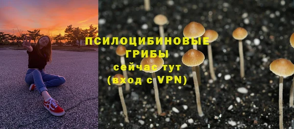 а пвп мука Армянск