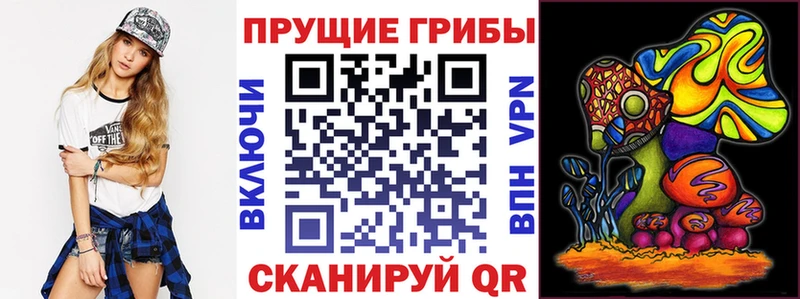 наркотики  Юрьевец  Галлюциногенные грибы прущие грибы 